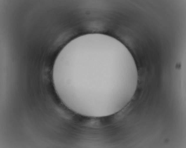 X0000093100162200710101545