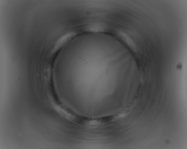 X0000093100163200710101545