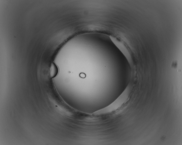 X0000093100164200710101545