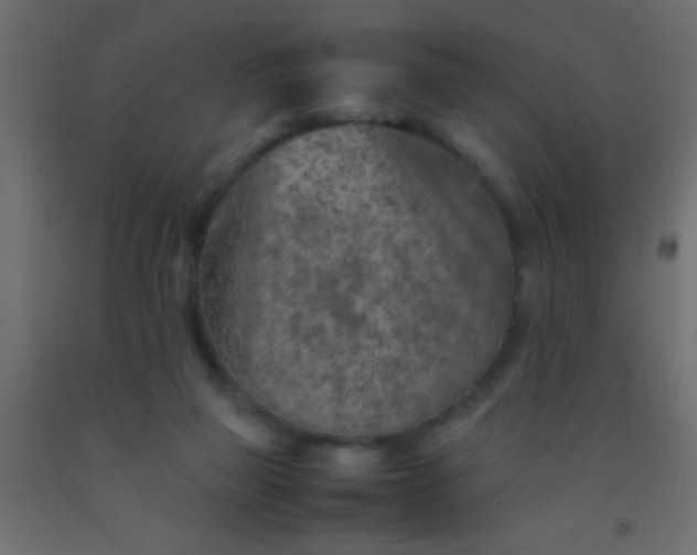 X0000093100165200710101545