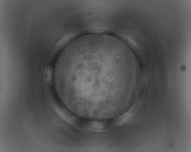 X0000093100166200710101545