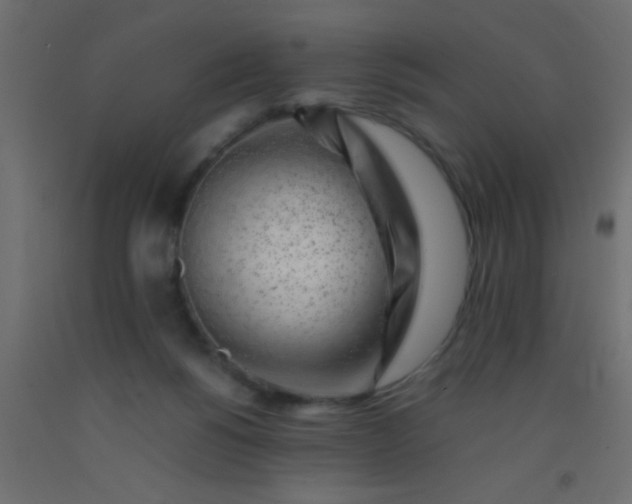 X0000093100168200710101545