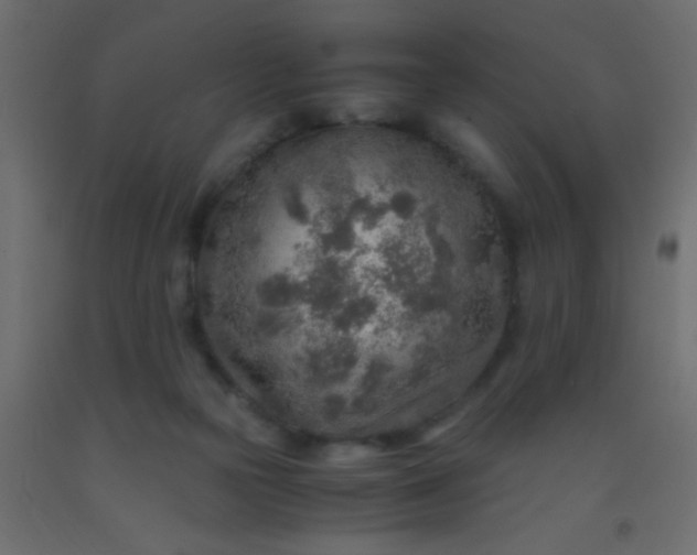 X0000093100169200710101545