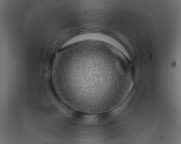 X0000093100170200710101545