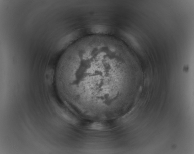 X0000093100171200710101545