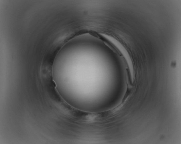 X0000093100172200710101545