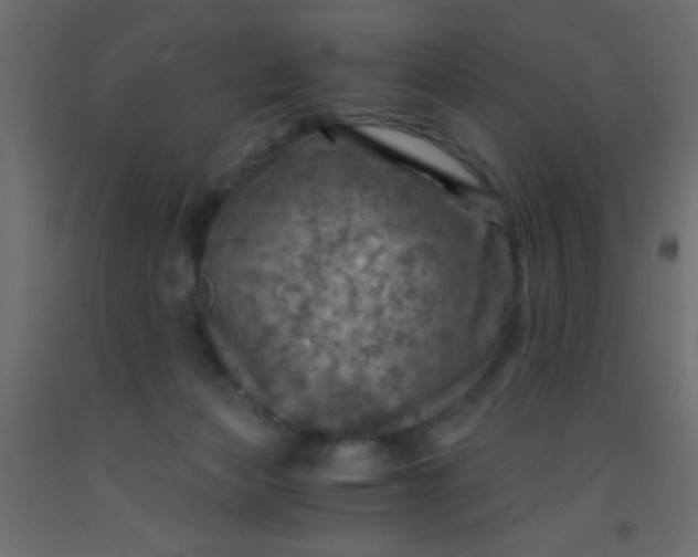 X0000093100173200710101545