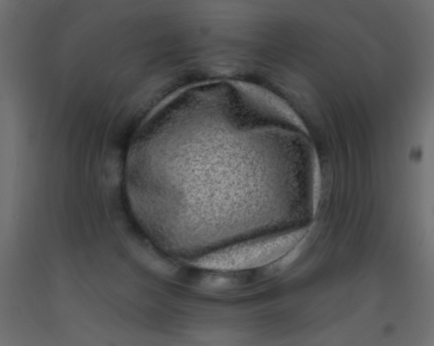 X0000093100174200710101545