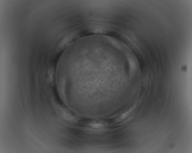 X0000093100175200710101545