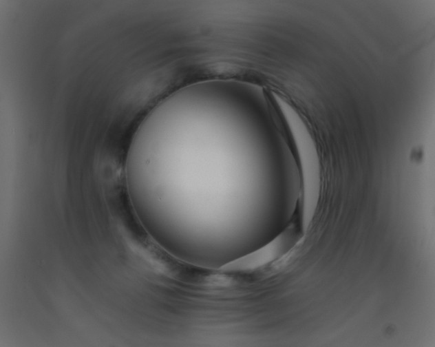 X0000093100176200710101545