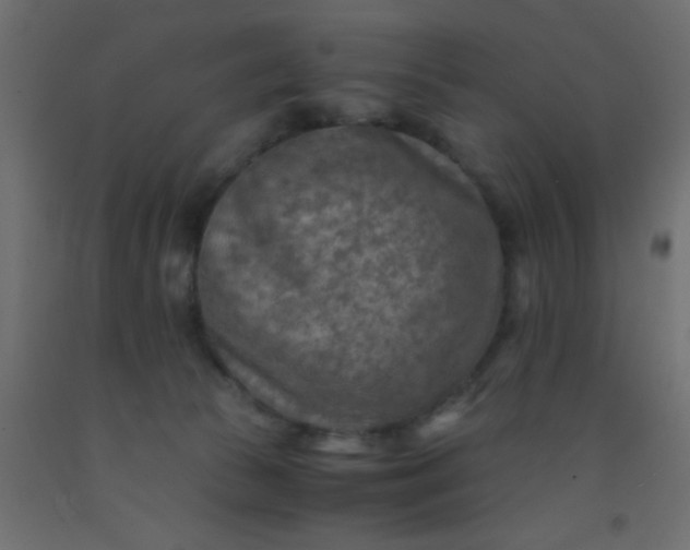 X0000093100177200710101545