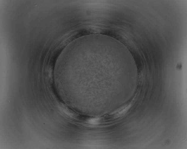 X0000093100178200710101546
