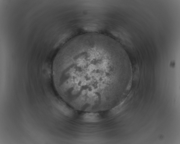 X0000093100179200710101546