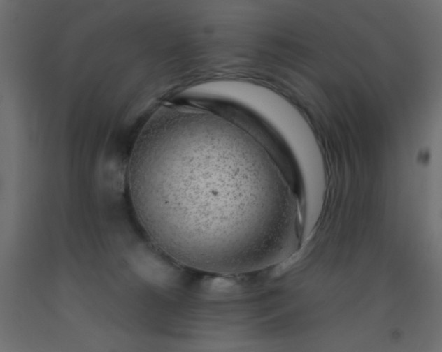 X0000093100180200710101546