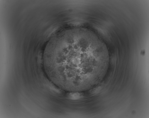 X0000093100181200710101546