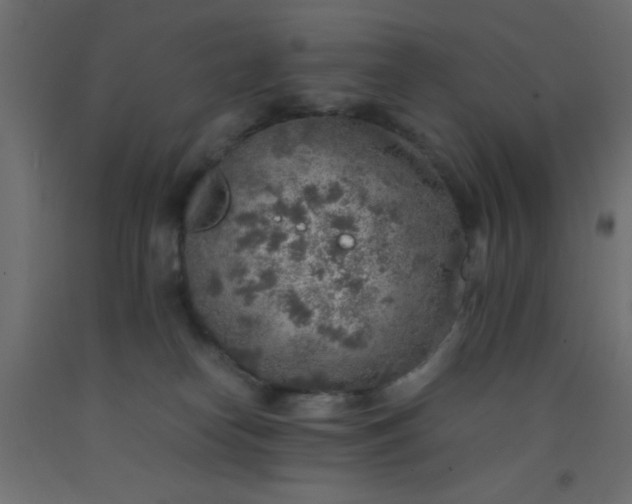 X0000093100182200710101546