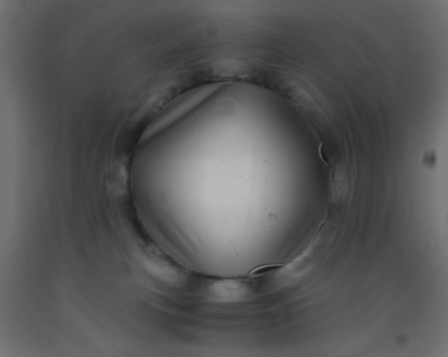 X0000093100183200710101546