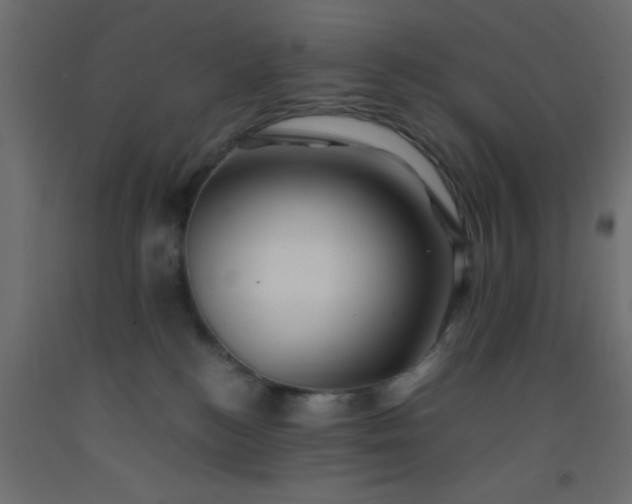 X0000093100184200710101546