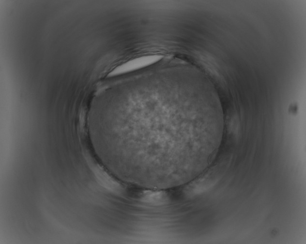 X0000093100185200710101546
