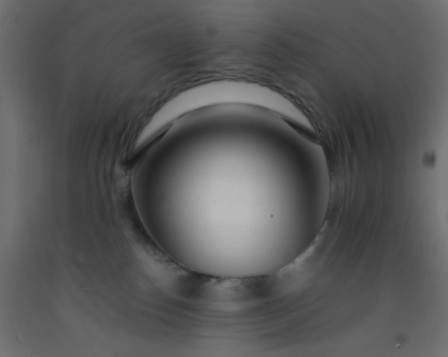 X0000093100186200710101546