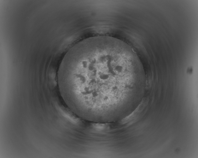 X0000093100187200710101546