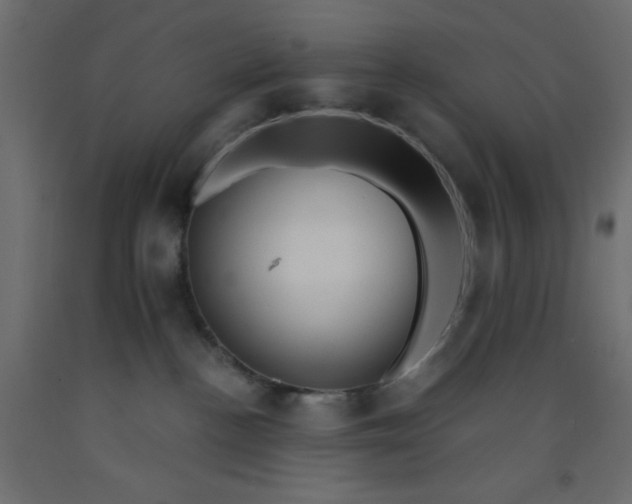 X0000093100188200710101546