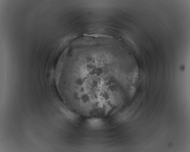 X0000093100189200710101546