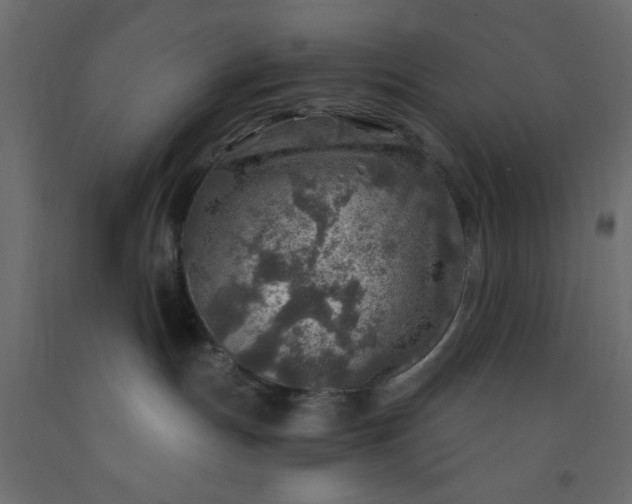 X0000093100191200710101546