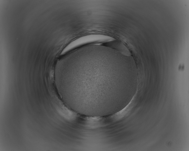 X0000093100192200710101546