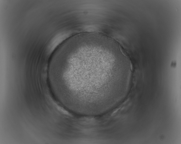 X0000093100194200710101545