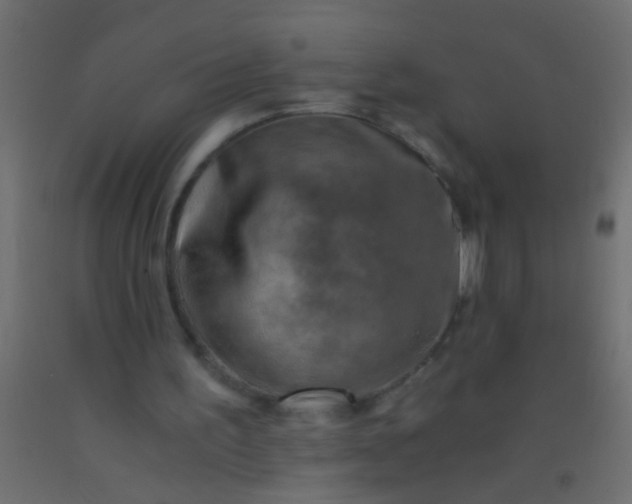 X0000093100195200710101545