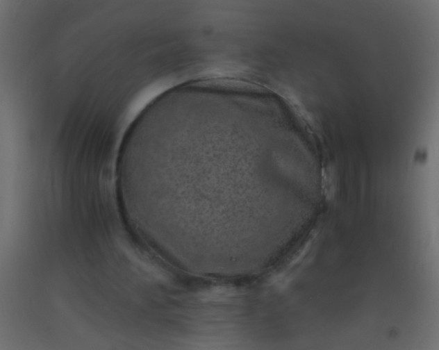 X0000093100196200710101545
