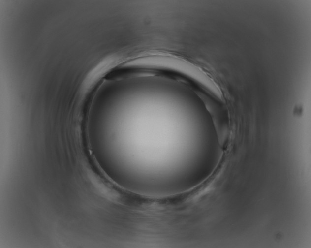 X0000093100197200710101545