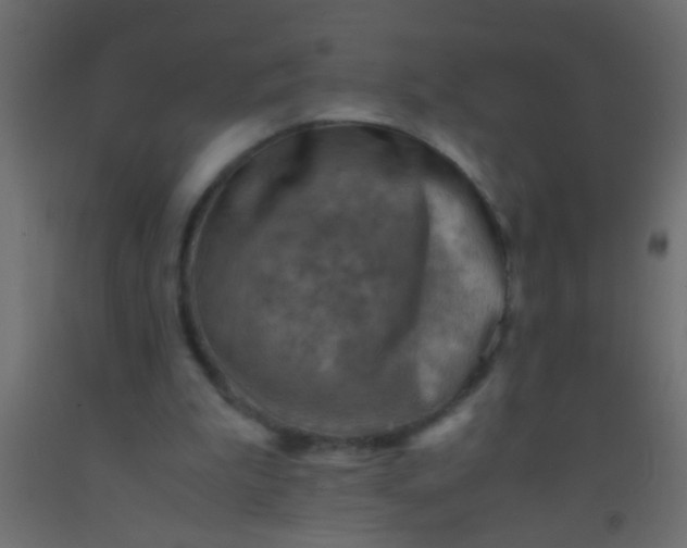 X0000093100199200710101545