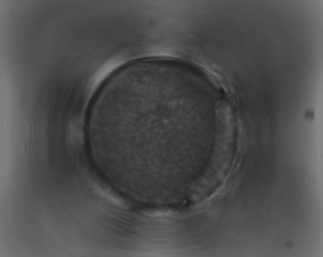 X0000093100200200710101545
