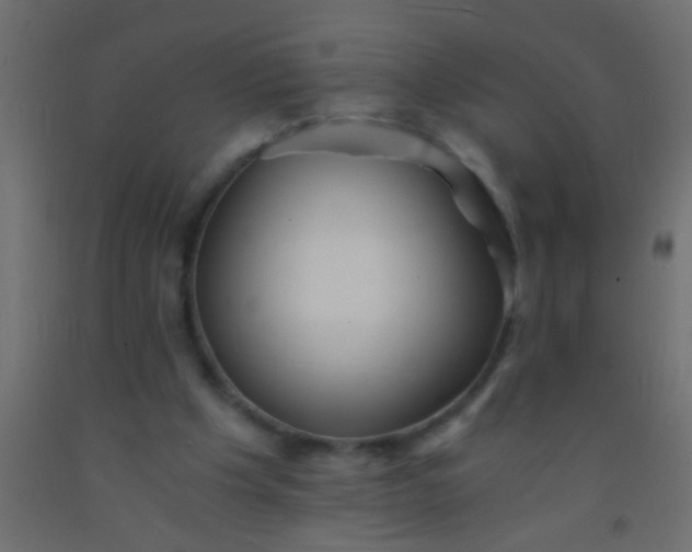 X0000093100201200710101545