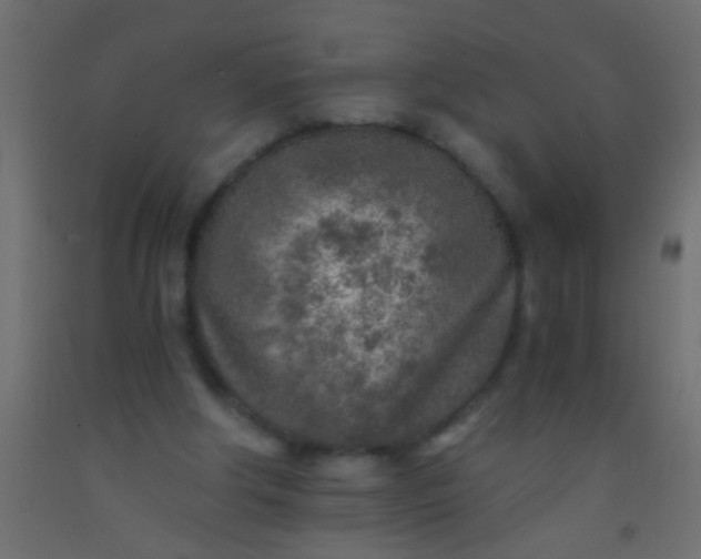X0000093100202200710101545