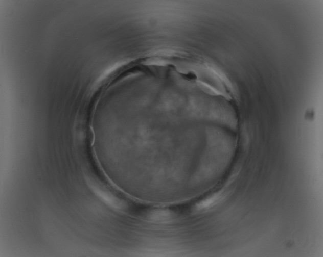 X0000093100203200710101545