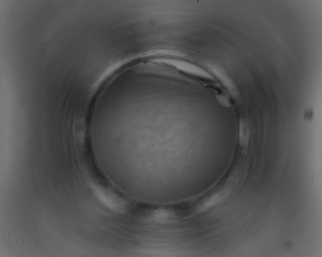 X0000093100204200710101545