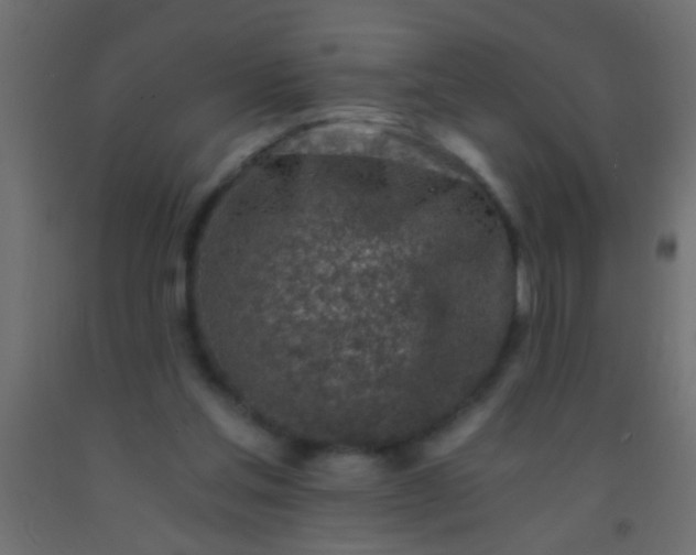 X0000093100205200710101545