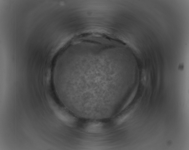 X0000093100206200710101545