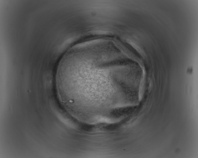 X0000093100207200710101545