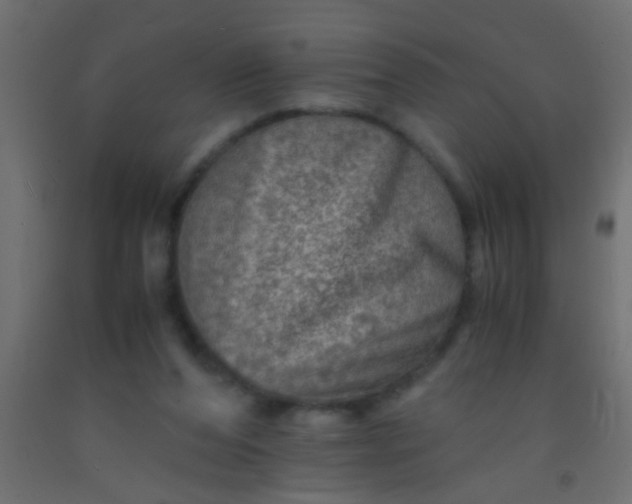 X0000093100208200710101545