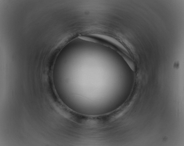X0000093100209200710101545