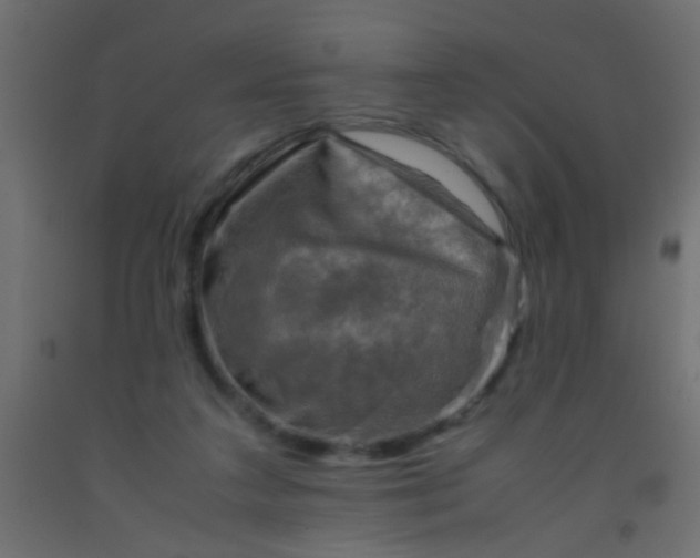 X0000093100211200710101545