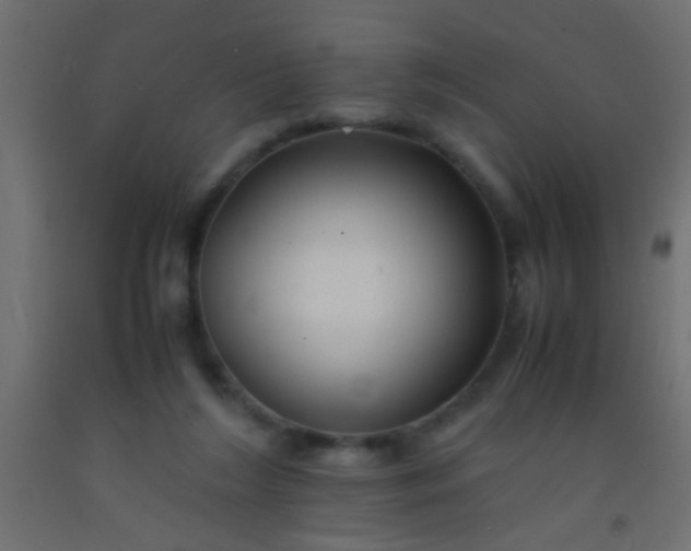 X0000093100212200710101545
