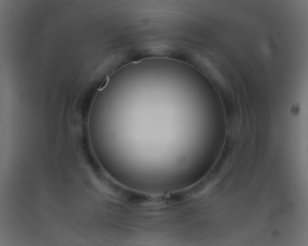 X0000093100213200710101545