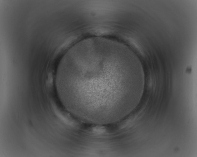 X0000093100214200710101545