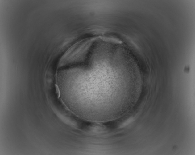 X0000093100215200710101545