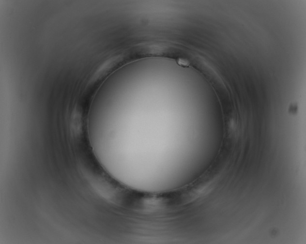 X0000093100216200710101545